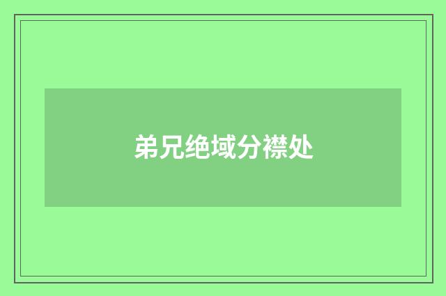 弟兄绝域分襟处
