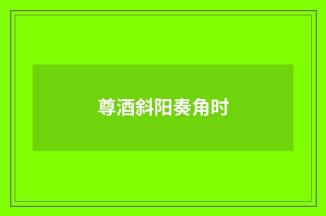 尊酒斜阳奏角时