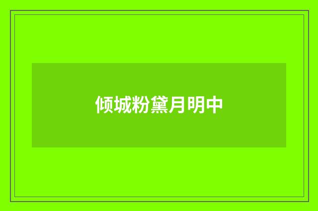 倾城粉黛月明中