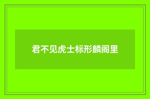 君不见虎士标形麟阁里