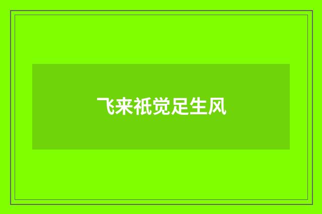 飞来祇觉足生风