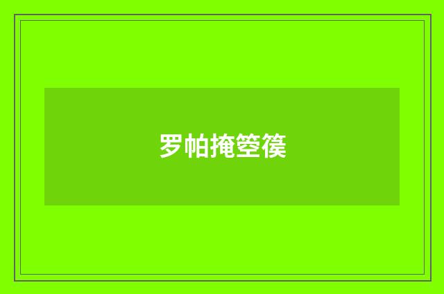 罗帕掩箜篌