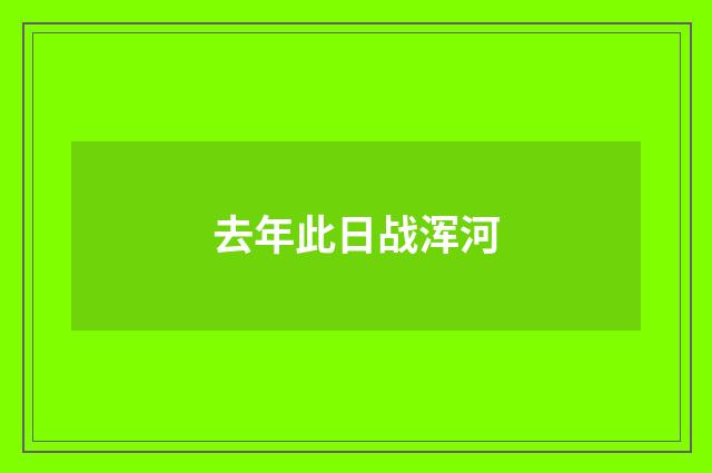 去年此日战浑河