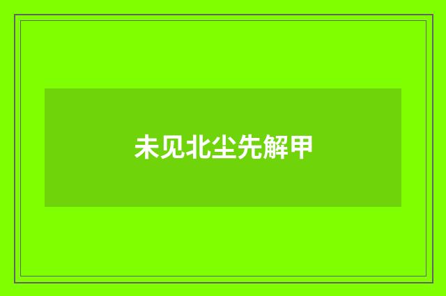 未见北尘先解甲