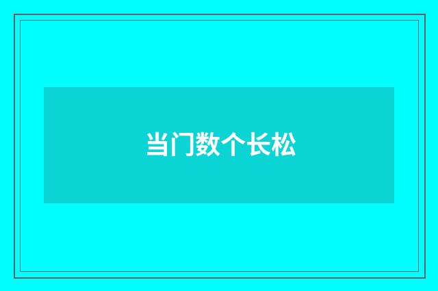 当门数个长松