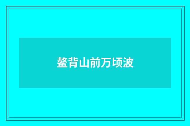 鳌背山前万顷波