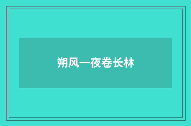 朔风一夜卷长林
