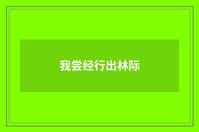 我尝经行出林际
