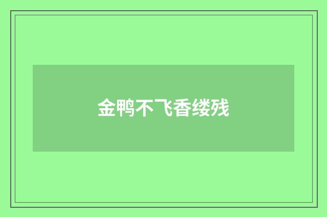 金鸭不飞香缕残