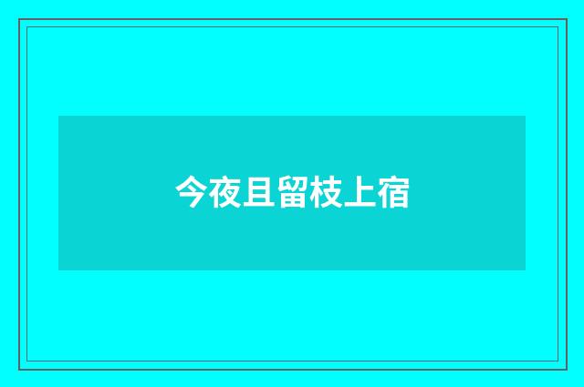 今夜且留枝上宿