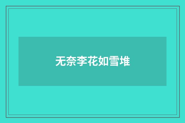 无奈李花如雪堆