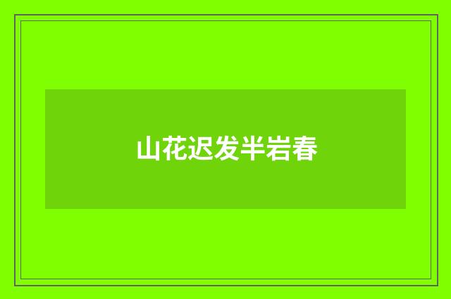 山花迟发半岩春