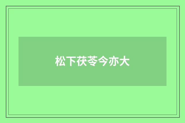 松下茯苓今亦大