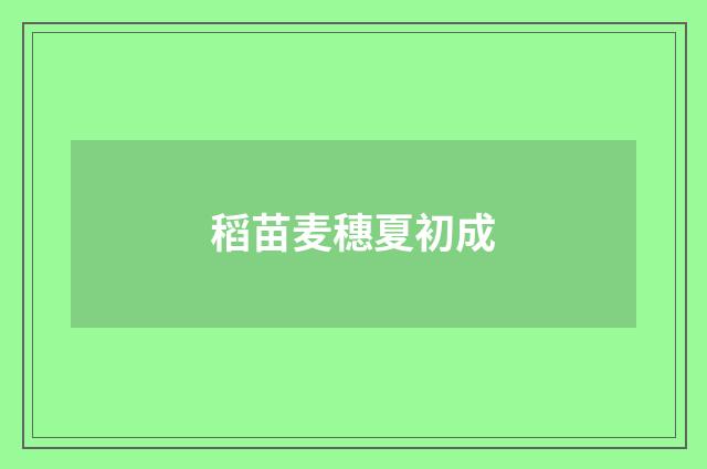 稻苗麦穗夏初成