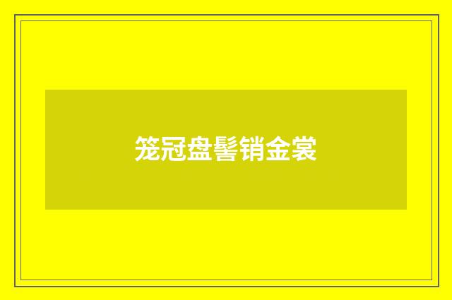 笼冠盘髻销金裳