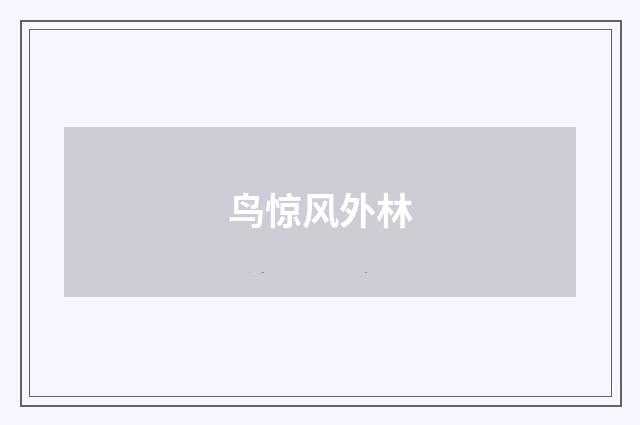鸟惊风外林
