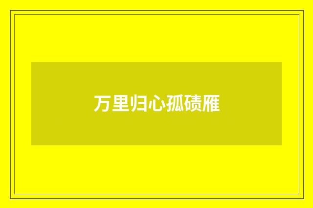 万里归心孤碛雁