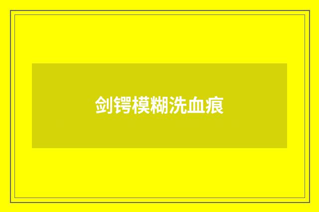 剑锷模糊洗血痕