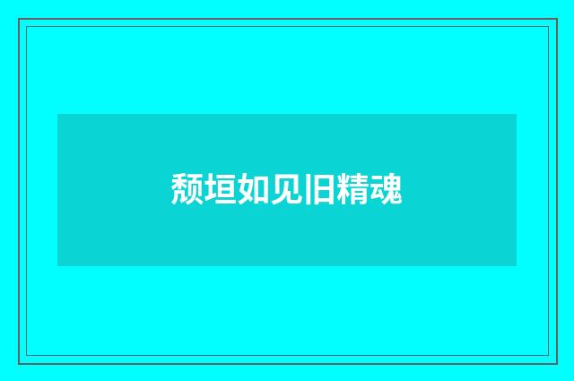 颓垣如见旧精魂
