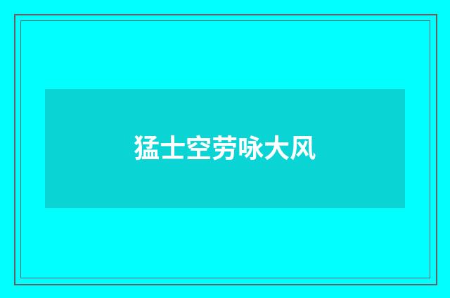 猛士空劳咏大风
