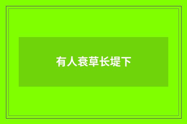 有人衰草长堤下