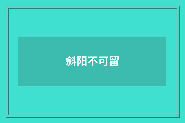 斜阳不可留