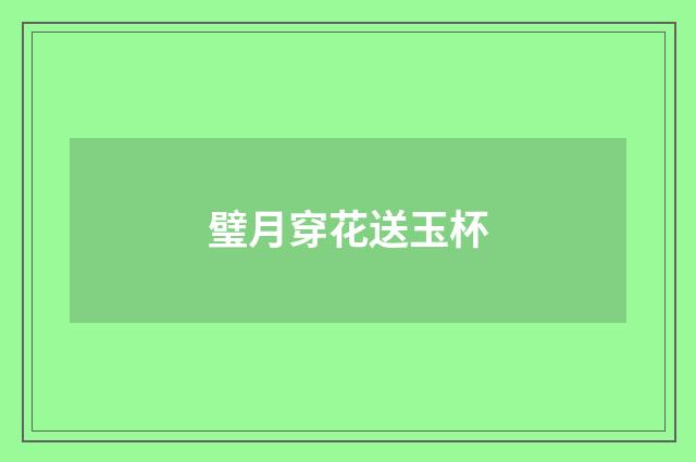 璧月穿花送玉杯