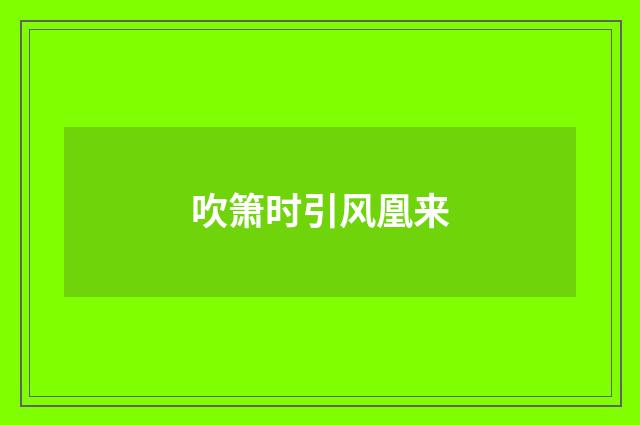 吹箫时引风凰来