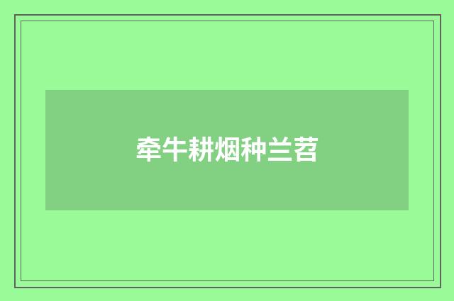 牵牛耕烟种兰苕