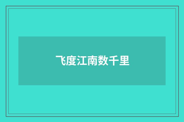 飞度江南数千里