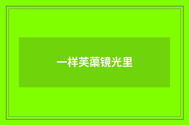一样芙蕖镜光里