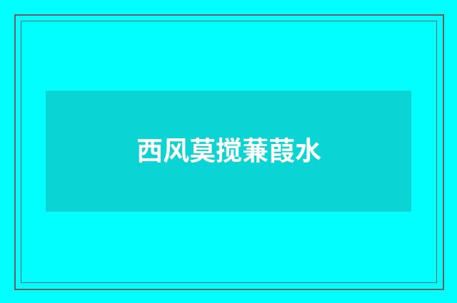 西风莫搅蒹葭水