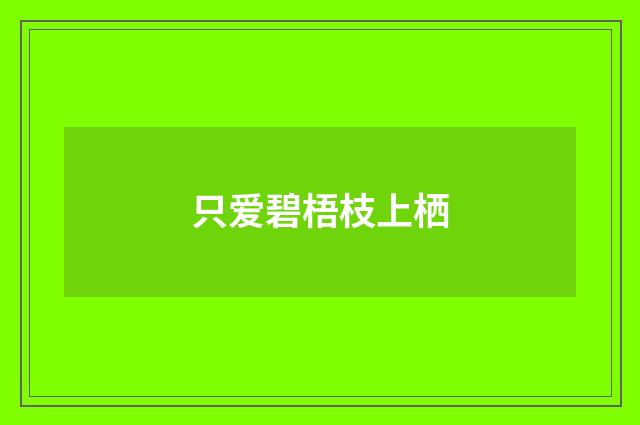 只爱碧梧枝上栖