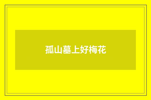 孤山墓上好梅花