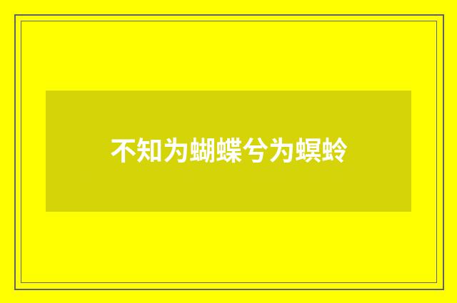 不知为蝴蝶兮为螟蛉