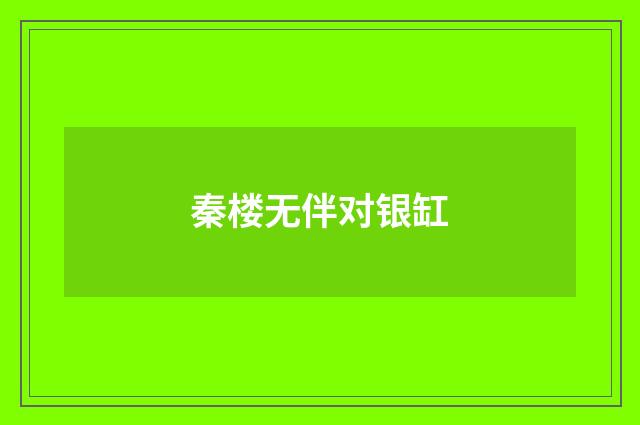 秦楼无伴对银缸