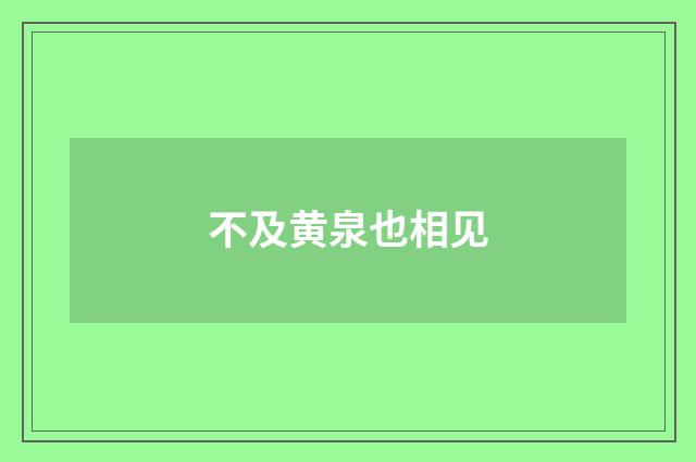 不及黄泉也相见
