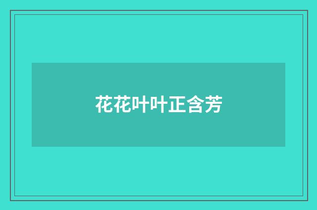 花花叶叶正含芳