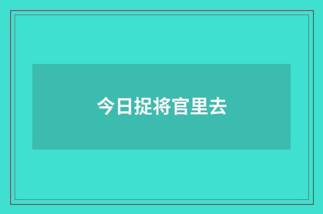 今日捉将官里去