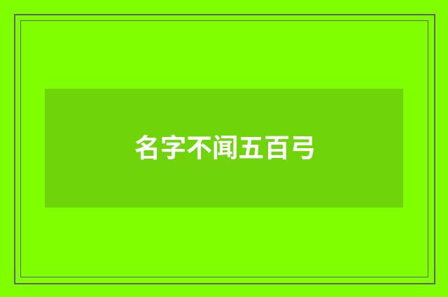 名字不闻五百弓