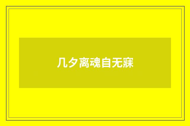 几夕离魂自无寐