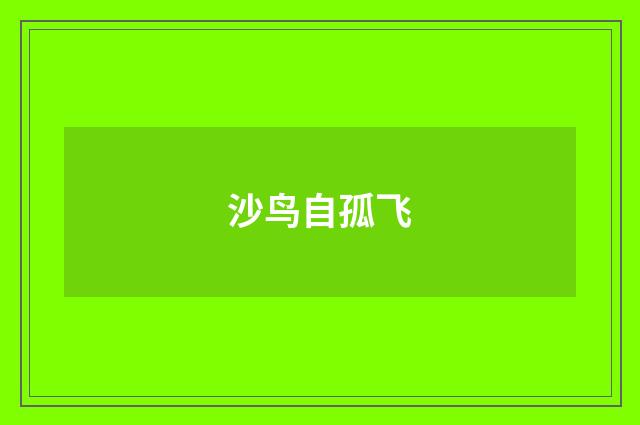 沙鸟自孤飞
