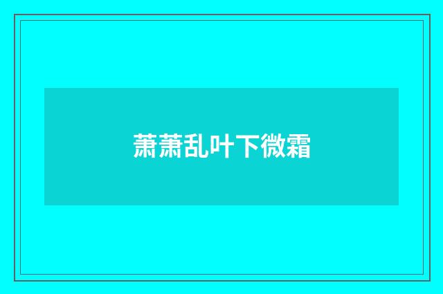 萧萧乱叶下微霜