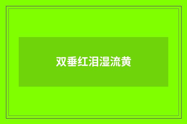 双垂红泪湿流黄