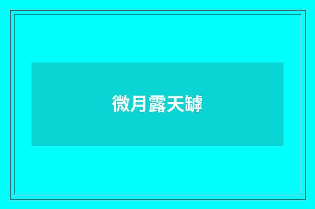 微月露天罅