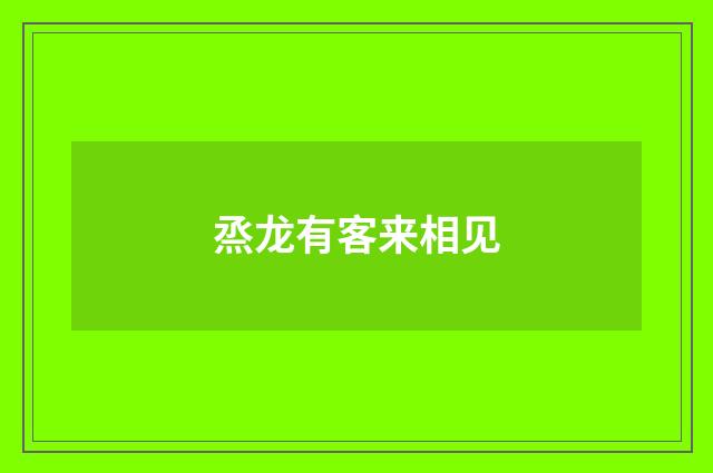 烝龙有客来相见