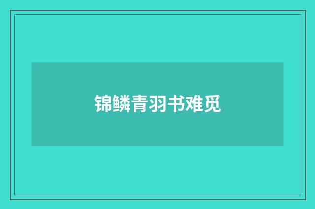 锦鳞青羽书难觅