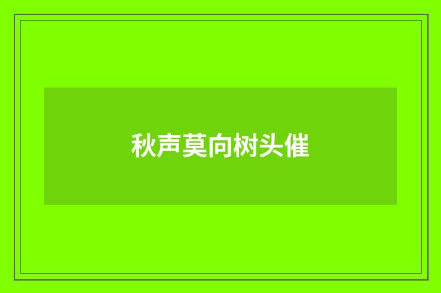 秋声莫向树头催