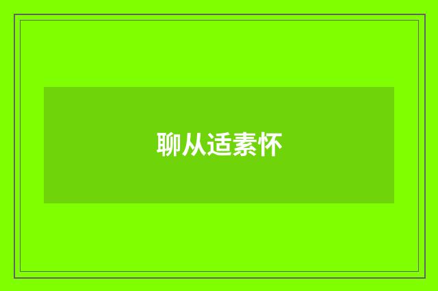 聊从适素怀