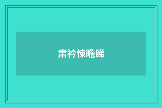 肃衿悚瞻睇